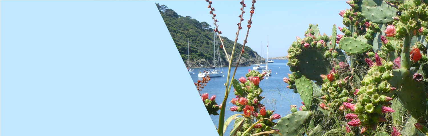 Profites de votre bateau